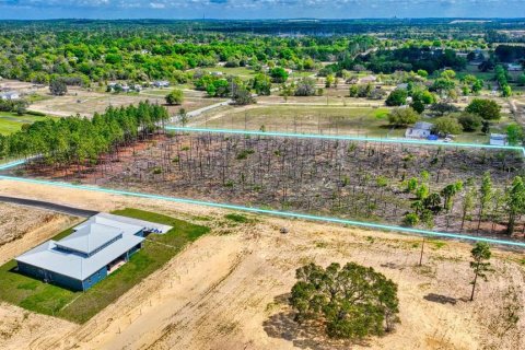 Land in Brooksville, Florida № 1368316 - photo 4