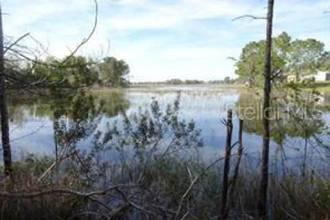 Land in Deltona, Florida № 1420586 - photo 2