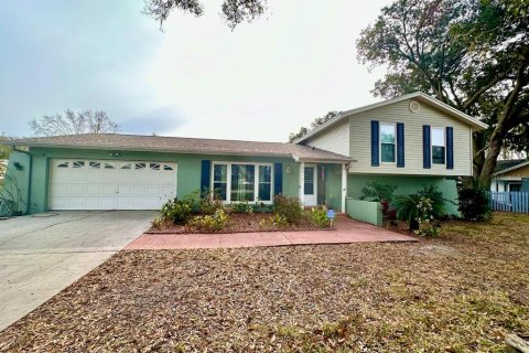 House in Lutz, Florida 3 bedrooms, 188.31 sq.m. № 1368629 - photo 1