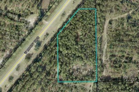 Terreno en venta en Bunnell, Florida № 1296085 - foto 1