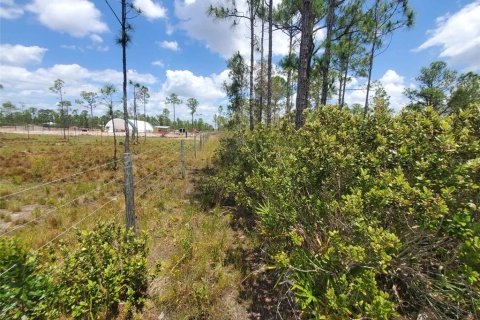 Terreno en venta en Punta Gorda, Florida № 1158729 - foto 24