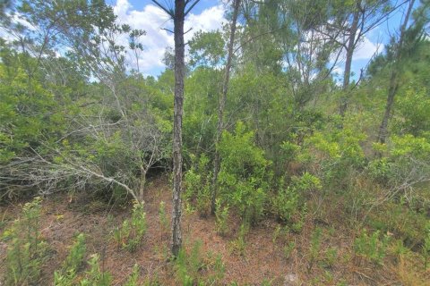 Land in Punta Gorda, Florida № 1158729 - photo 28