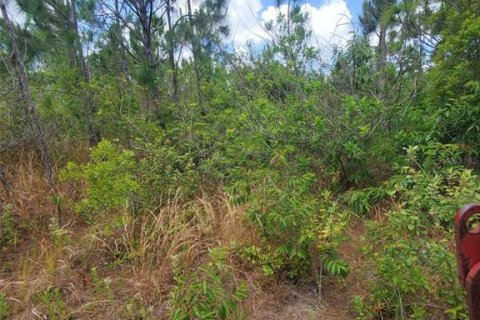 Terreno en venta en Punta Gorda, Florida № 1158729 - foto 4