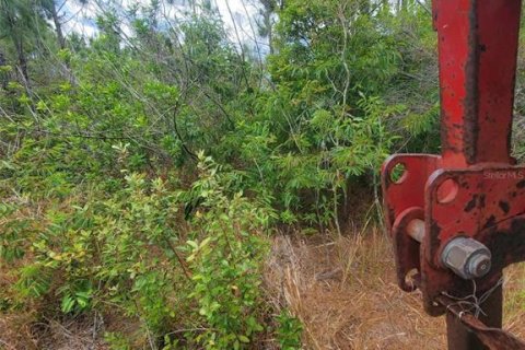 Terrain à vendre à Punta Gorda, Floride № 1158729 - photo 6