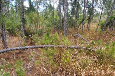 Terrain à vendre à Punta Gorda, Floride № 1158729 - photo 5