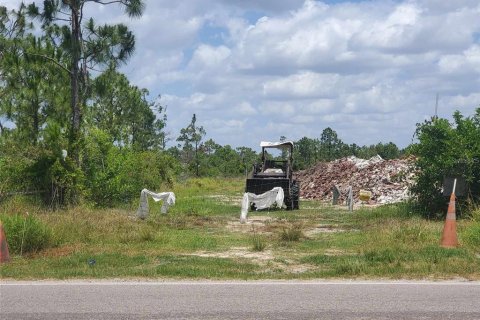 Terrain à vendre à Punta Gorda, Floride № 1158729 - photo 1