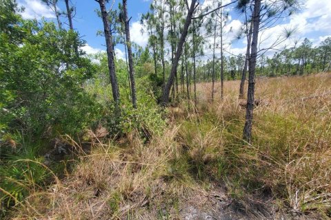 Land in Punta Gorda, Florida № 1158729 - photo 18