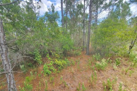 Land in Punta Gorda, Florida № 1158729 - photo 2