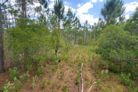 Terreno en venta en Punta Gorda, Florida № 1158729 - foto 29