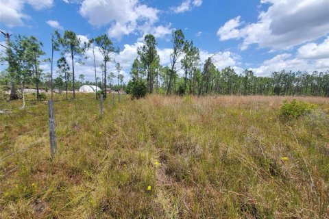 Land in Punta Gorda, Florida № 1158729 - photo 11