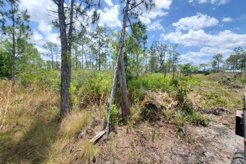 Terrain à vendre à Punta Gorda, Floride № 1158729 - photo 7