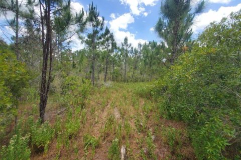 Land in Punta Gorda, Florida № 1158729 - photo 26