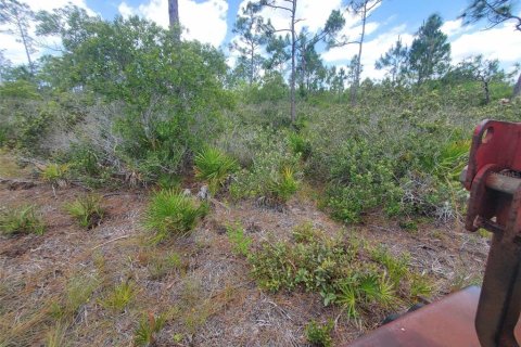 Terreno en venta en Punta Gorda, Florida № 1158729 - foto 19