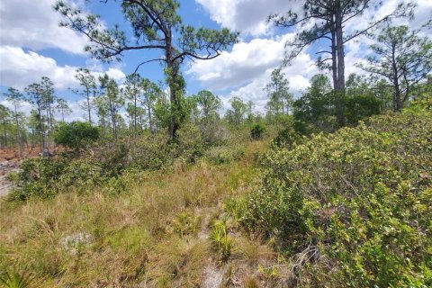 Terrain à vendre à Punta Gorda, Floride № 1158729 - photo 27