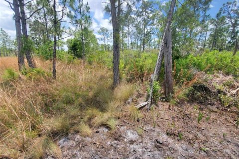 Terreno en venta en Punta Gorda, Florida № 1158729 - foto 10