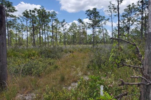 Terrain à vendre à Punta Gorda, Floride № 1158729 - photo 30