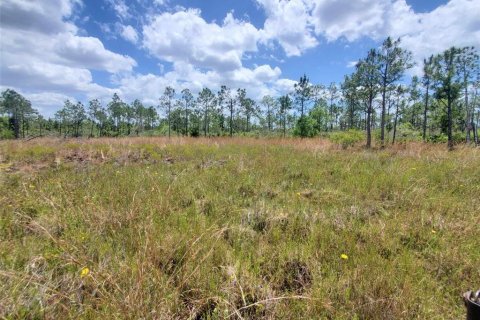 Terrain à vendre à Punta Gorda, Floride № 1158729 - photo 15