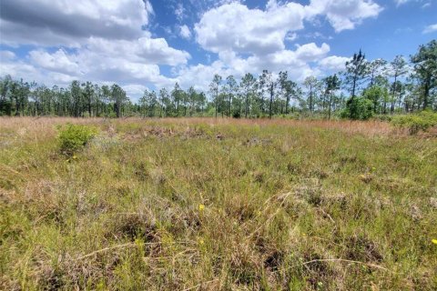 Terrain à vendre à Punta Gorda, Floride № 1158729 - photo 14