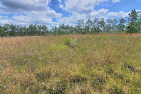 Terrain à vendre à Punta Gorda, Floride № 1158729 - photo 16