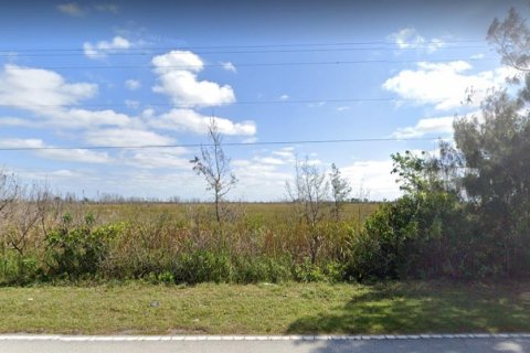 Immobilier commercial à vendre à Homestead, Floride № 4930 - photo 7