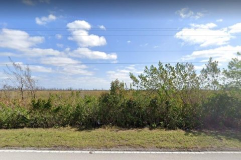 Купить коммерческую недвижимость в Хомстед, Флорида № 4930 - фото 8