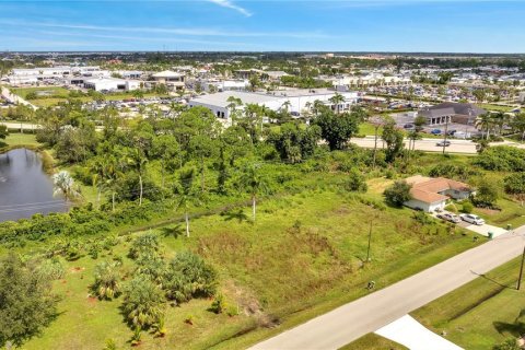 Terrain à vendre à Punta Gorda, Floride № 760188 - photo 3