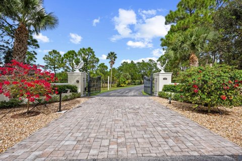 Villa ou maison à vendre à Jupiter, Floride: 7 chambres, 1059.27 m2 № 832854 - photo 5