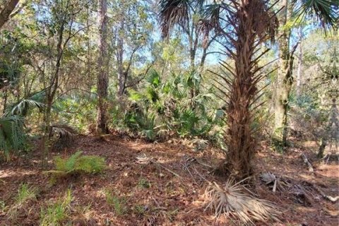 Terreno en venta en New Port Richey, Florida № 1306779 - foto 7