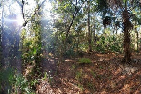 Terrain à vendre à New Port Richey, Floride № 1306779 - photo 4