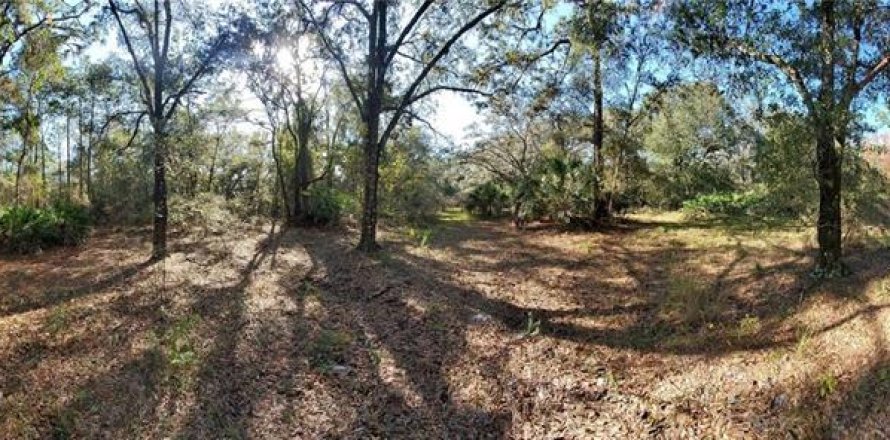 Terrain à New Port Richey, Floride № 1306779