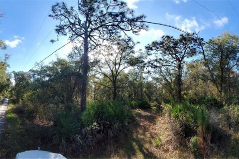 Terrain à vendre à New Port Richey, Floride № 1306779 - photo 3