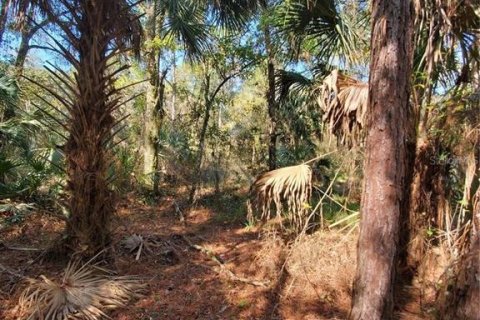 Land in New Port Richey, Florida № 1306779 - photo 6