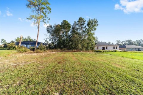 Villa ou maison à vendre à Ocala, Floride: 3 chambres, 115.76 m2 № 1418072 - photo 13