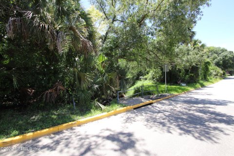 Terreno en venta en Saint Augustine, Florida № 765699 - foto 3