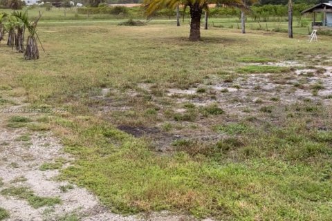 Terrain à vendre à Clewiston, Floride № 602719 - photo 3