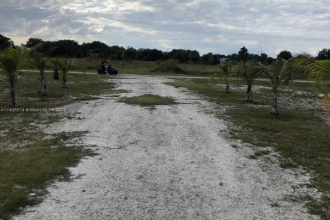 Terrain à vendre à Clewiston, Floride № 602719 - photo 2