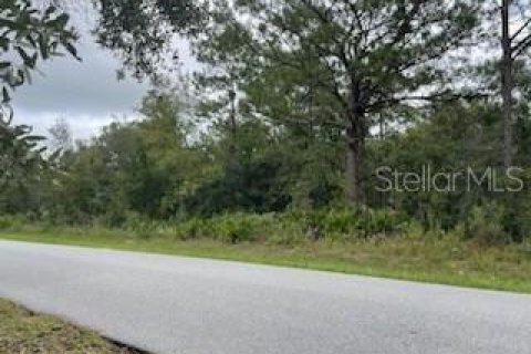 Terreno en venta en Homosassa, Florida № 1362801 - foto 1