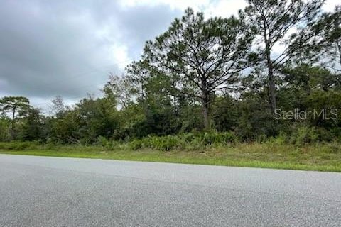 Terreno en venta en Homosassa, Florida № 1362801 - foto 3