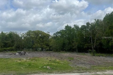 Terreno en venta en Orlando, Florida № 1318098 - foto 3