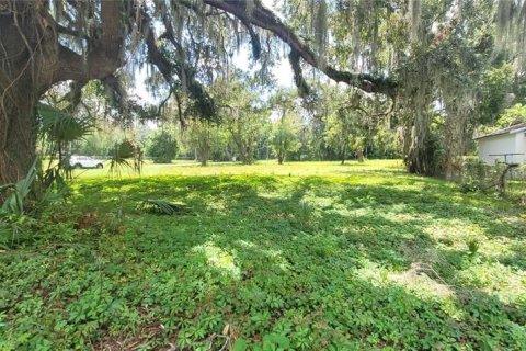 Land in Ocala, Florida № 1377038 - photo 2