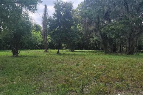 Terreno en venta en Ocala, Florida № 1377038 - foto 3