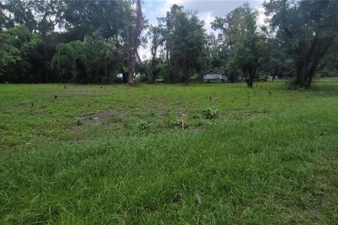 Terreno en venta en Ocala, Florida № 1377038 - foto 4