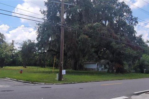 Terreno en venta en Ocala, Florida № 1377038 - foto 1