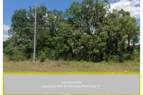 Купить земельный участок в Окала, Флорида № 215704 - фото 2