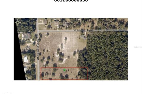 Land in DeLand, Florida № 1243156 - photo 2