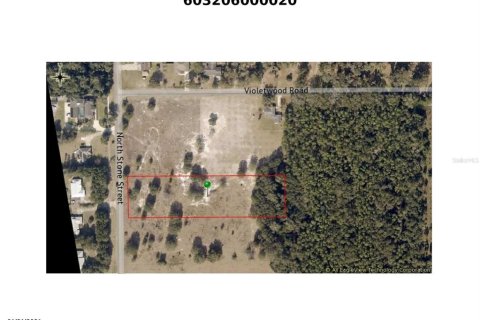 Land in DeLand, Florida № 1243157 - photo 3