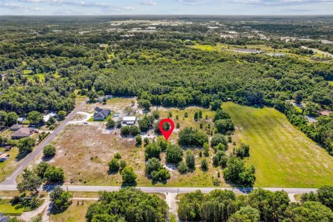 Terreno en venta en DeLand, Florida № 1243157 - foto 5