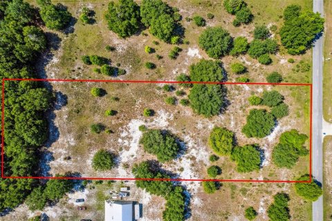 Terreno en venta en DeLand, Florida № 1243157 - foto 4