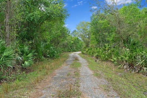 Land in Okeechobee, Florida № 1283008 - photo 5