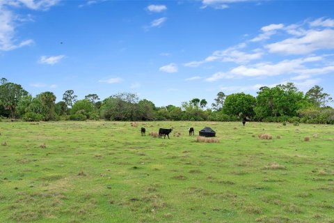 Land in Okeechobee, Florida № 1283008 - photo 8